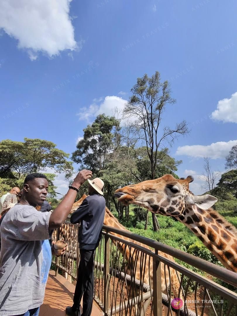 Kenya Safari: Nairobi & the Wild